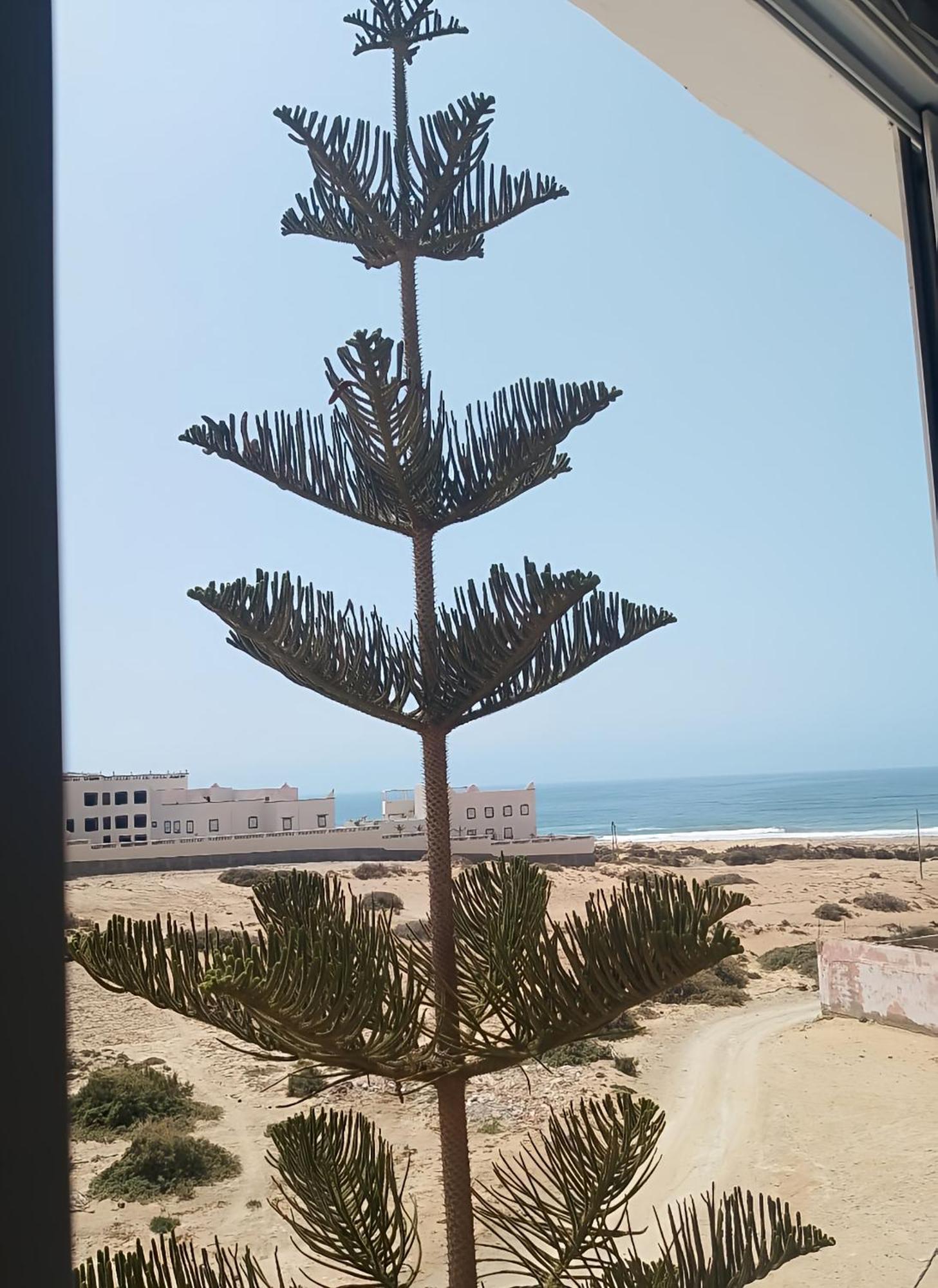 Tildi Surf House Hotel Imsouane Exterior foto